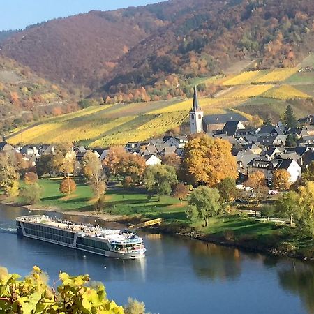 Apartment Mosel-Goetterlay Bruttig-Fankel Dış mekan fotoğraf