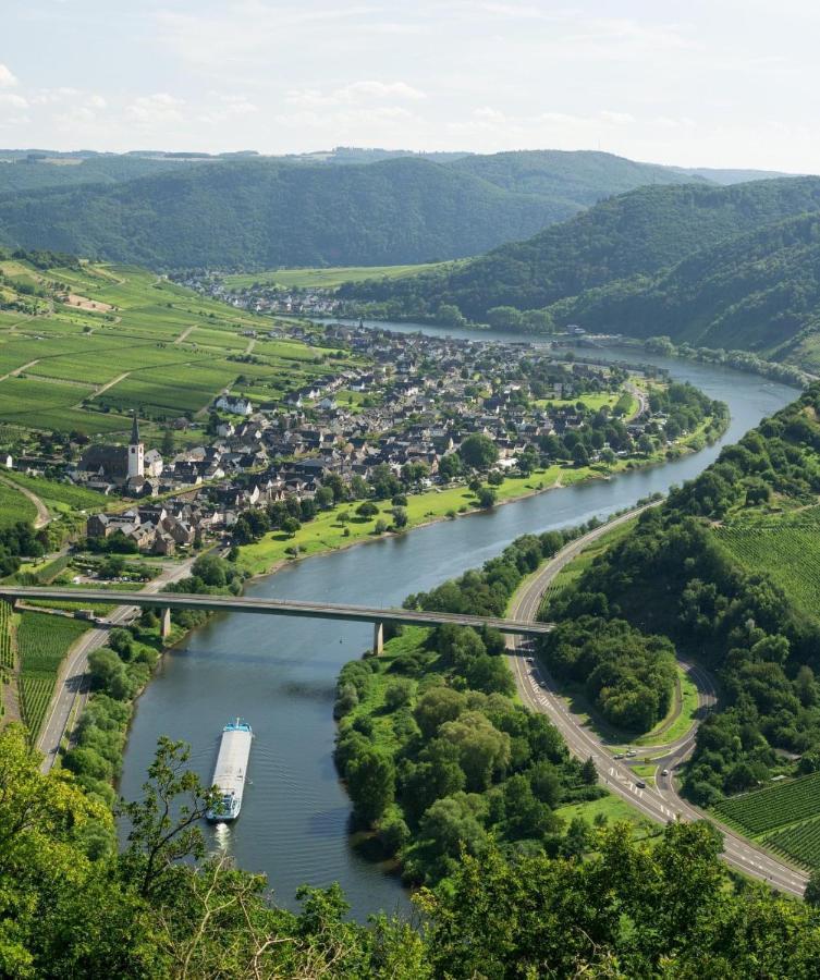 Apartment Mosel-Goetterlay Bruttig-Fankel Dış mekan fotoğraf