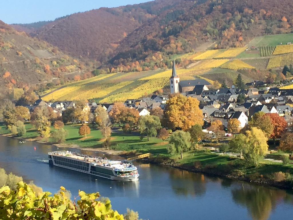 Apartment Mosel-Goetterlay Bruttig-Fankel Dış mekan fotoğraf