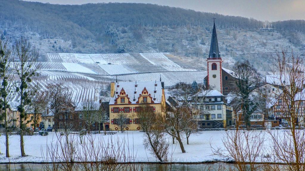 Apartment Mosel-Goetterlay Bruttig-Fankel Dış mekan fotoğraf