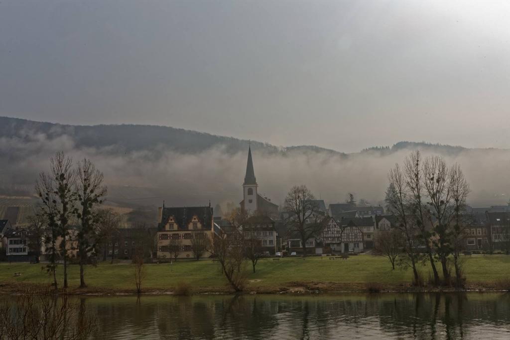 Apartment Mosel-Goetterlay Bruttig-Fankel Dış mekan fotoğraf